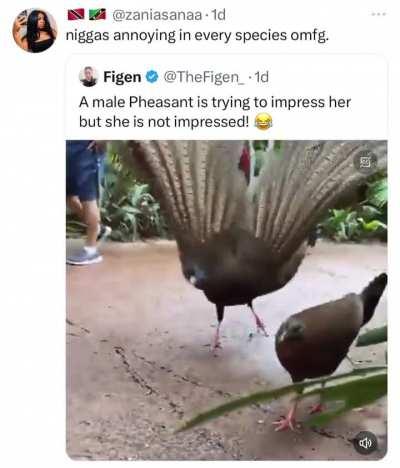 YOU SCARING THE HOES BRO