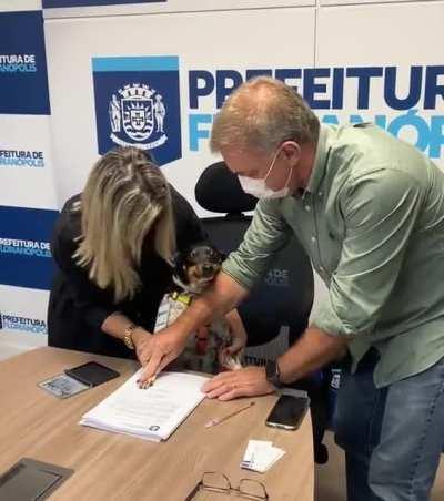 Испанский стыд