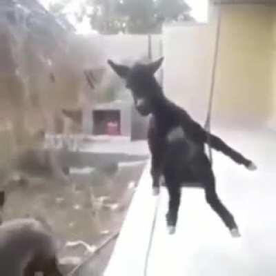 Que bençam 🙇🏻‍♂️