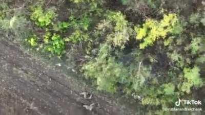 Drone Dropped Munition Falls on Squad of Four Russian Soldiers