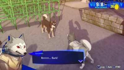 Koromaru's Trailer but Koromaru Can Talk