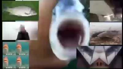 Do YOU know what that means?