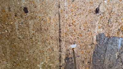 Concrete wall that was below grade for the last 75 years.