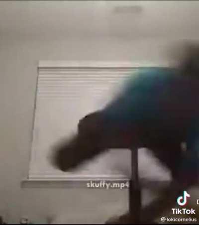 jakertown - Video #0471