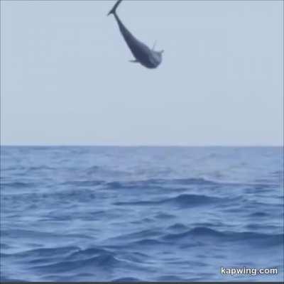 🔥 Look at that form tho 🔥