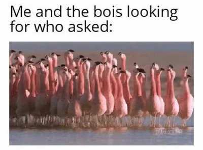 Seriously tho, who did?