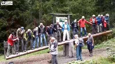 Elderly people on a seesaw, what could go wrong