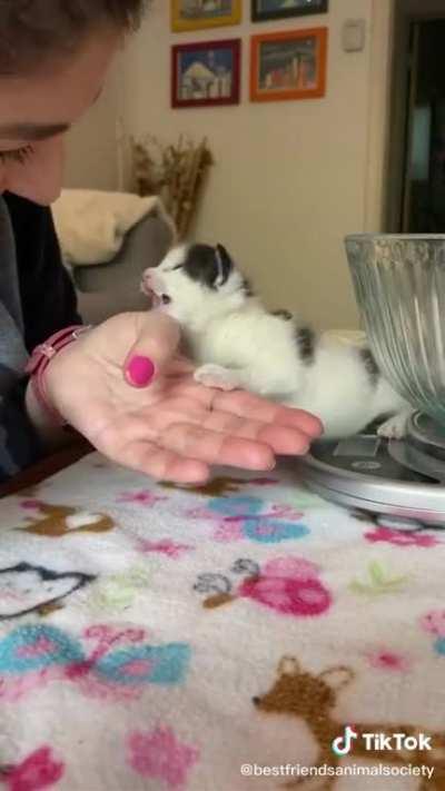 Someone was not too keen on taking a break.