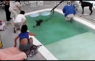 When your dogs test you