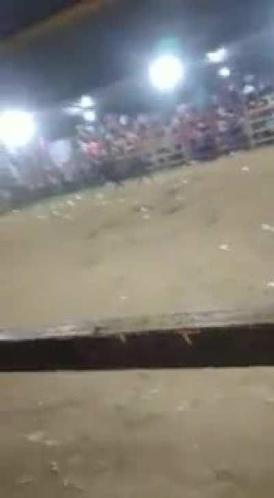 here's what happened with the guy vs 🐂