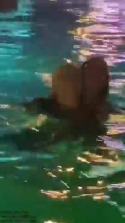 *NEW* Billie Eilish celebrating her new music happier than ever...