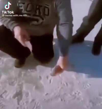 Reject modernity. Return to fish.