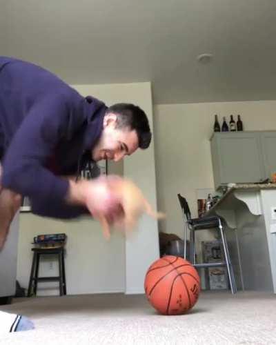 This dog's sense of balance is so good!