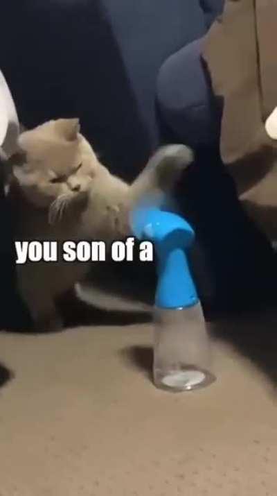 Are you challenging me?