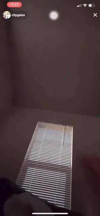 citygalss live yesterday