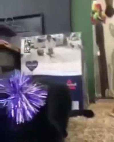 Estos son de los que te gustan