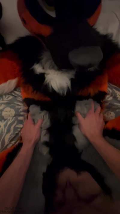 Grab on my hips and breed me 💦| OF: NaughtyWoofs