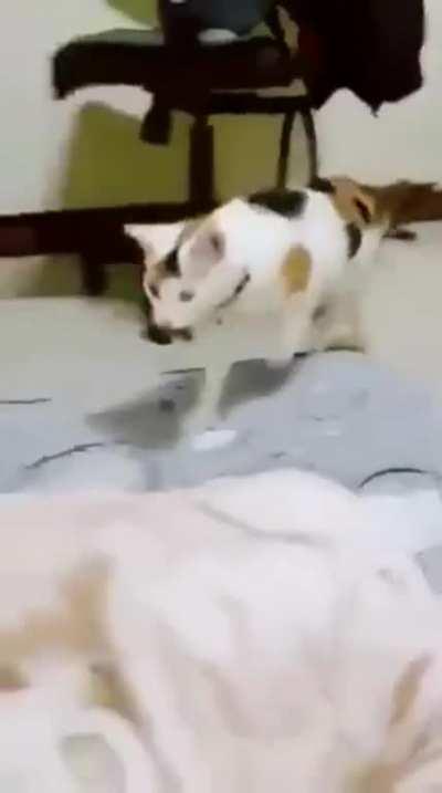 Here is a gift for you