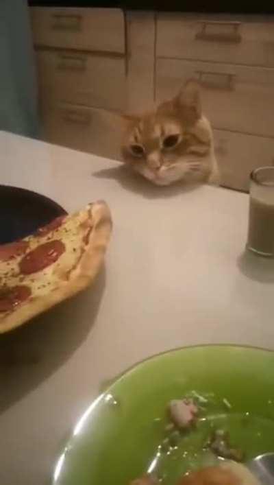 Just wanna take a closer look