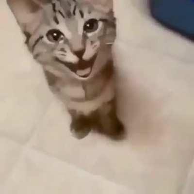 Igualzin Vai Se Fuder.