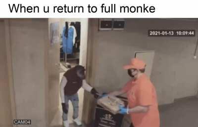 Return to monke