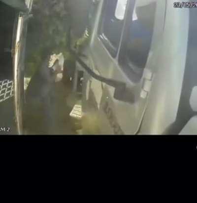 Truck-kung-fu is back with a new set of skills and isekai MC's