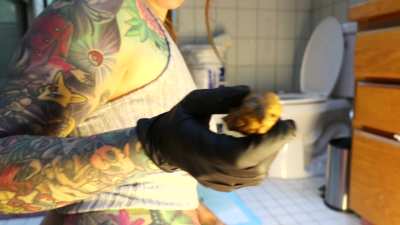 Gassy Girl Race Play Domination Scat addition [f] (oc)