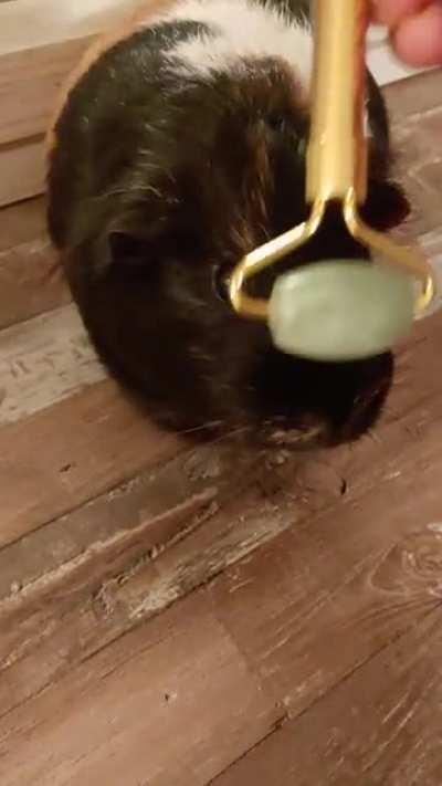 Pepsi loves her head messages!