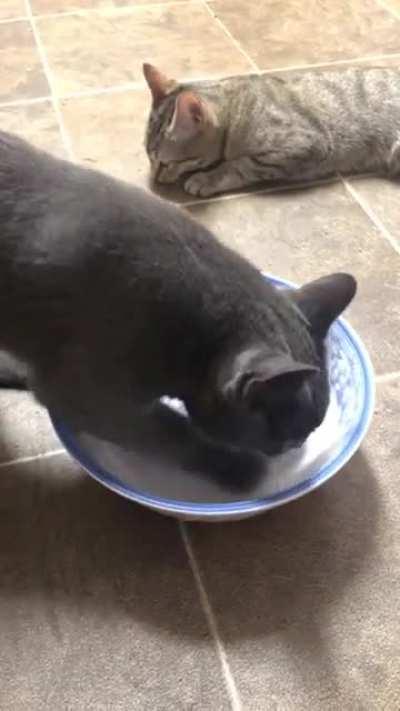 dOn’T dO dRuG kIdS