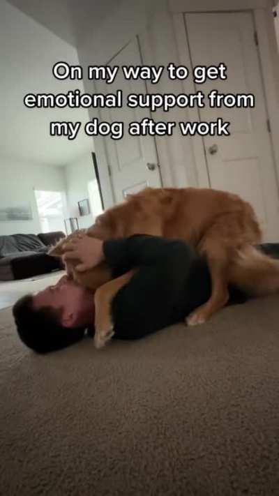 The very best therapy