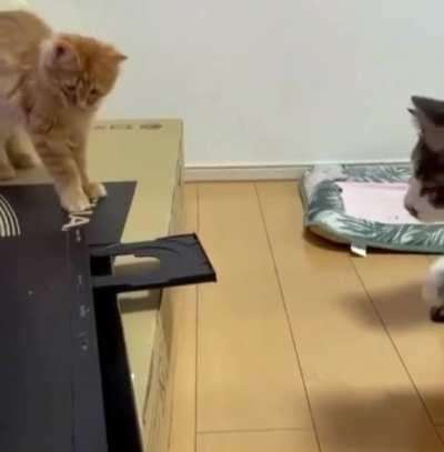 What is that evil thing?