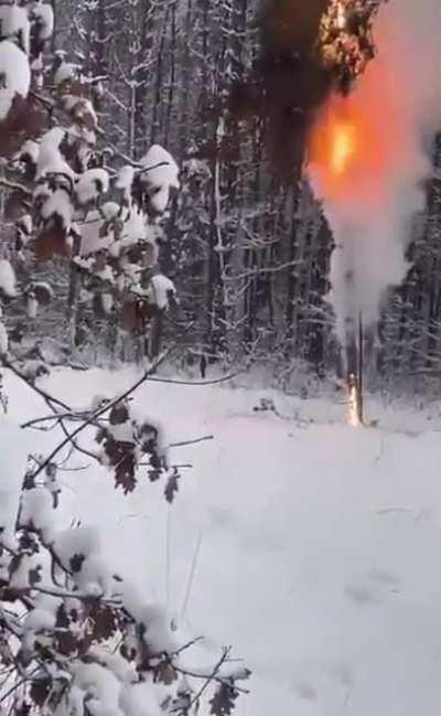 A tree collapsed on a power line in Poland (watch until the end)