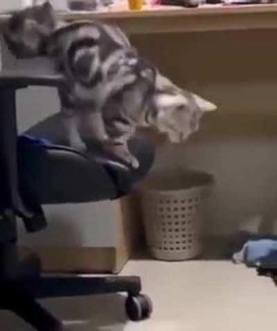 The way I wake up every morning