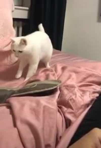 This startling beatbox