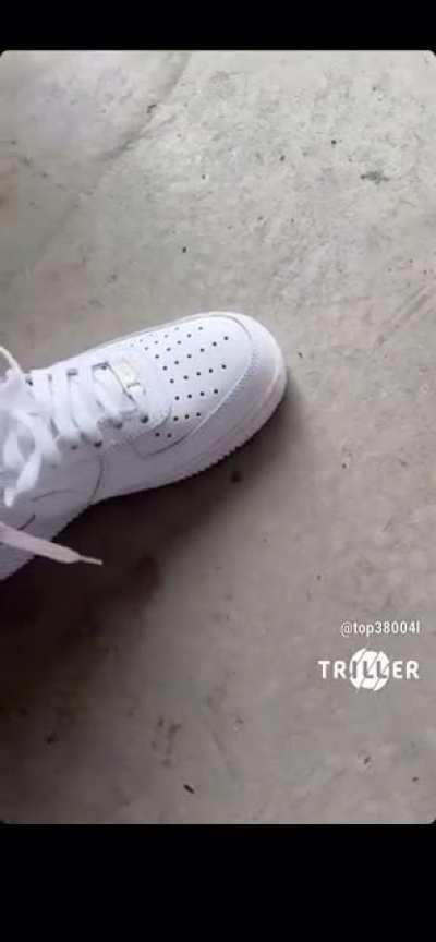 Damn yb on that nigga Adin head