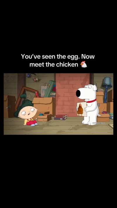 This chicken’s rising faster than most influencers just saying 🐔 ig : 1billionchicken