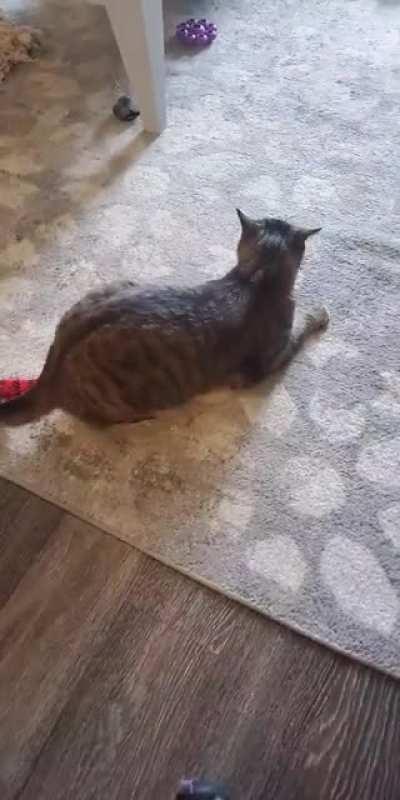 He loves his red thing