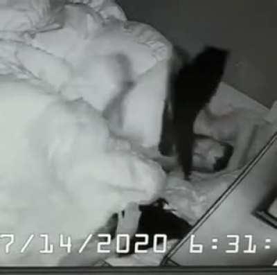 Kitty had a nightmare.