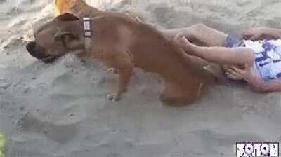 Behold, my wrath human...