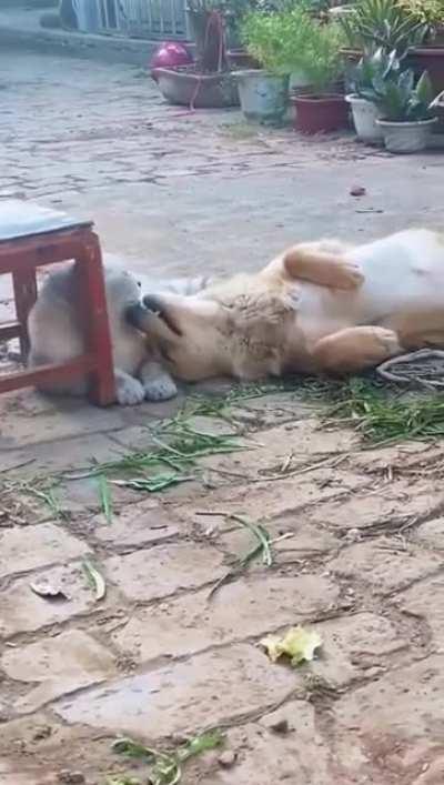 Sneaking in for a little kiss