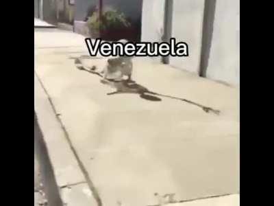 jueves de crapeo #2: meme clasico