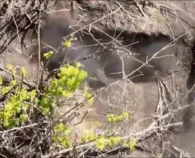 Orc in a dugout is hit by F1 grenade 