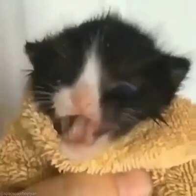 IT is ...... Beautiful..... such Harmonie