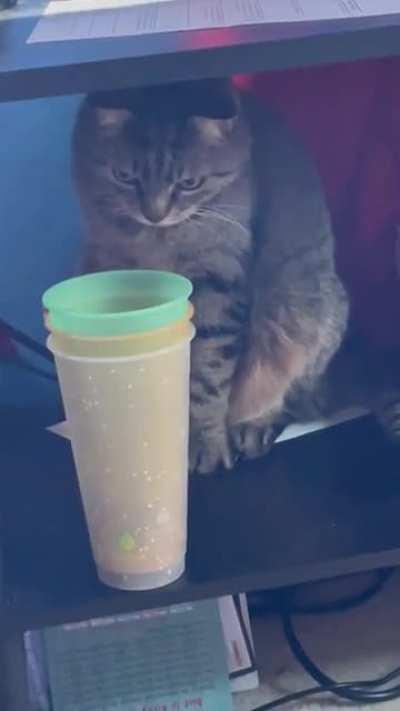 Look what my cat did while I was just chillin' in bed