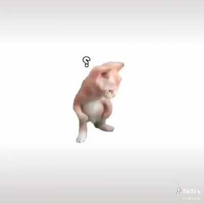 Miguel Nooooooooooooo