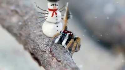 Blursed Christmas spiders