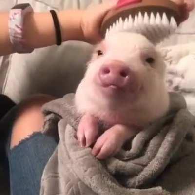 Technoblade being taken care of in valhalla by a valkyrie<3