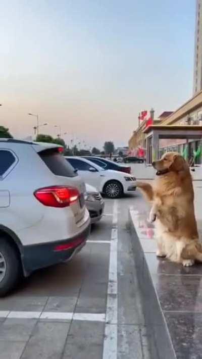 Backup camera powered by treats and pets