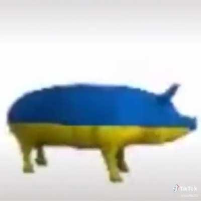 I need the name of the song, sorry Ukrainian bros