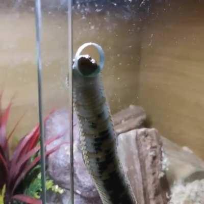 Here it is, the cutest thing I’ll see all day.